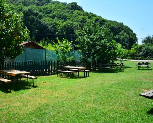 riva, riva sadik babanın yeri, riva piknik alanı, riva piknik yeri, riva restaurant, riva restoran, riva dere kenarı, riva et mangal, riva at binme, riva serpme kahvaltı