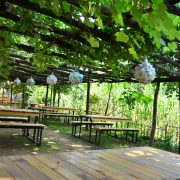 riva, riva sadik babanın yeri, riva piknik alanı, riva piknik yeri, riva restaurant, riva restoran, riva dere kenarı, riva et mangal, riva at binme, riva serpme kahvaltı