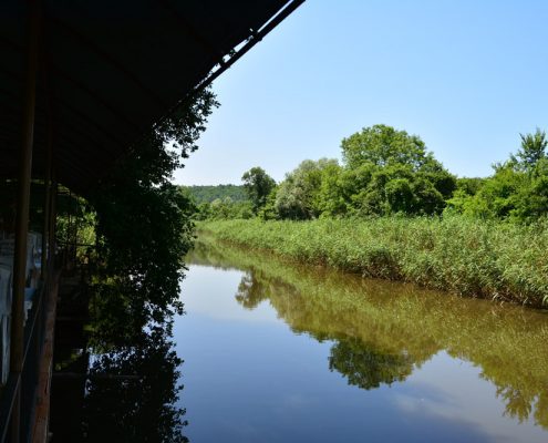 riva, riva sadik babanın yeri, riva piknik alanı, riva piknik yeri, riva restaurant, riva restoran, riva dere kenarı, riva et mangal, riva at binme, riva serpme kahvaltı