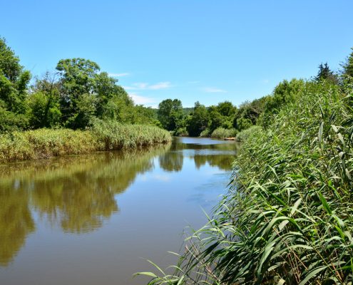 riva, riva sadik babanın yeri, riva piknik alanı, riva piknik yeri, riva restaurant, riva restoran, riva dere kenarı, riva et mangal, riva at binme, riva serpme kahvaltı