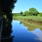 riva, riva sadik babanın yeri, riva piknik alanı, riva piknik yeri, riva restaurant, riva restoran, riva dere kenarı, riva et mangal, riva at binme, riva serpme kahvaltı