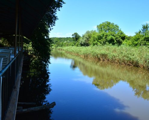 riva, riva sadik babanın yeri, riva piknik alanı, riva piknik yeri, riva restaurant, riva restoran, riva dere kenarı, riva et mangal, riva at binme, riva serpme kahvaltı