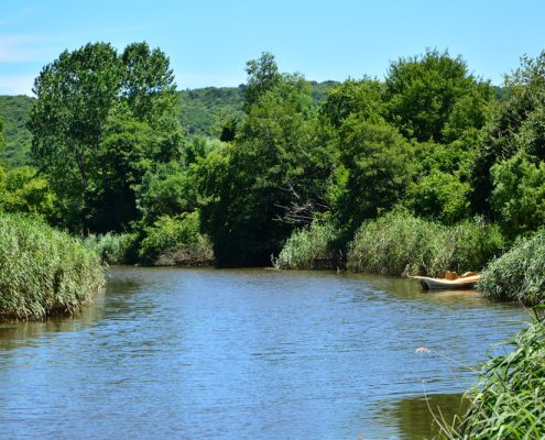 riva, riva sadik babanın yeri, riva piknik alanı, riva piknik yeri, riva restaurant, riva restoran, riva dere kenarı, riva et mangal, riva at binme, riva serpme kahvaltı