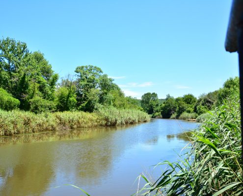 riva, riva sadik babanın yeri, riva piknik alanı, riva piknik yeri, riva restaurant, riva restoran, riva dere kenarı, riva et mangal, riva at binme, riva serpme kahvaltı