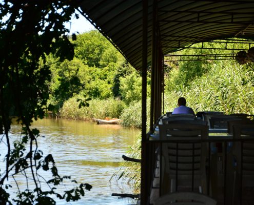 riva, riva sadik babanın yeri, riva piknik alanı, riva piknik yeri, riva restaurant, riva restoran, riva dere kenarı, riva et mangal, riva at binme, riva serpme kahvaltı